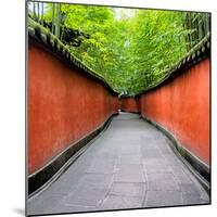 China 10MKm2 Collection - Alley Bamboo-Philippe Hugonnard-Mounted Photographic Print