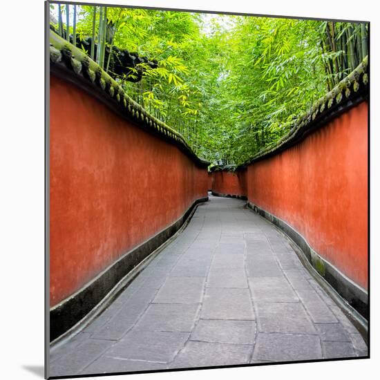 China 10MKm2 Collection - Alley Bamboo-Philippe Hugonnard-Mounted Photographic Print