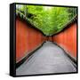 China 10MKm2 Collection - Alley Bamboo-Philippe Hugonnard-Framed Stretched Canvas