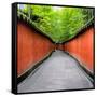 China 10MKm2 Collection - Alley Bamboo-Philippe Hugonnard-Framed Stretched Canvas