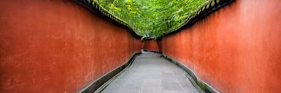 https://imgc.allpostersimages.com/img/posters/china-10mkm2-collection-alley-bamboo_u-L-PZ668A0.jpg?artPerspective=n