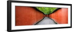 China 10MKm2 Collection - Alley Bamboo-Philippe Hugonnard-Framed Photographic Print