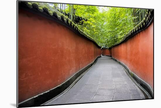 China 10MKm2 Collection - Alley Bamboo-Philippe Hugonnard-Mounted Photographic Print