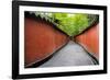 China 10MKm2 Collection - Alley Bamboo-Philippe Hugonnard-Framed Photographic Print