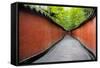 China 10MKm2 Collection - Alley Bamboo-Philippe Hugonnard-Framed Stretched Canvas