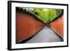 China 10MKm2 Collection - Alley Bamboo-Philippe Hugonnard-Framed Photographic Print