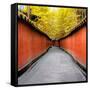 China 10MKm2 Collection - Alley Bamboo-Philippe Hugonnard-Framed Stretched Canvas