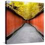 China 10MKm2 Collection - Alley Bamboo-Philippe Hugonnard-Stretched Canvas