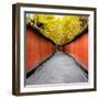 China 10MKm2 Collection - Alley Bamboo-Philippe Hugonnard-Framed Photographic Print