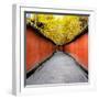 China 10MKm2 Collection - Alley Bamboo-Philippe Hugonnard-Framed Photographic Print