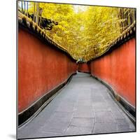 China 10MKm2 Collection - Alley Bamboo-Philippe Hugonnard-Mounted Photographic Print