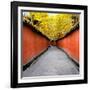 China 10MKm2 Collection - Alley Bamboo-Philippe Hugonnard-Framed Photographic Print