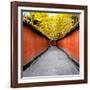 China 10MKm2 Collection - Alley Bamboo-Philippe Hugonnard-Framed Photographic Print