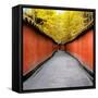 China 10MKm2 Collection - Alley Bamboo-Philippe Hugonnard-Framed Stretched Canvas