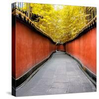 China 10MKm2 Collection - Alley Bamboo-Philippe Hugonnard-Stretched Canvas