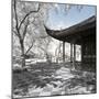 China 10MKm2 Collection - Another Look - Asian Temple-Philippe Hugonnard-Mounted Photographic Print