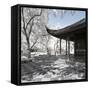 China 10MKm2 Collection - Another Look - Asian Temple-Philippe Hugonnard-Framed Stretched Canvas