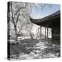 China 10MKm2 Collection - Another Look - Asian Temple-Philippe Hugonnard-Stretched Canvas