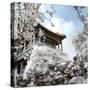 China 10MKm2 Collection - Another Look - Beijing Temple-Philippe Hugonnard-Stretched Canvas