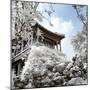 China 10MKm2 Collection - Another Look - Beijing Temple-Philippe Hugonnard-Mounted Photographic Print