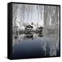 China 10MKm2 Collection - Another Look - Blue Lake-Philippe Hugonnard-Framed Stretched Canvas