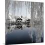 China 10MKm2 Collection - Another Look - Blue Lake-Philippe Hugonnard-Mounted Photographic Print