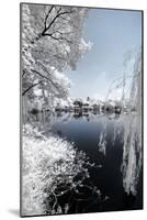 China 10MKm2 Collection - Another Look - Blue Lake-Philippe Hugonnard-Mounted Photographic Print