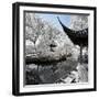 China 10MKm2 Collection - Another Look - Boat Trip-Philippe Hugonnard-Framed Photographic Print