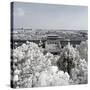 China 10MKm2 Collection - Another Look - Forbidden City-Philippe Hugonnard-Stretched Canvas