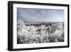 China 10MKm2 Collection - Another Look - Forbidden City-Philippe Hugonnard-Framed Photographic Print