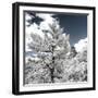 China 10MKm2 Collection - Another Look - Great Wall of China-Philippe Hugonnard-Framed Photographic Print