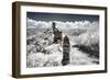 China 10MKm2 Collection - Another Look - Great Wall of China-Philippe Hugonnard-Framed Photographic Print