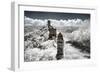 China 10MKm2 Collection - Another Look - Great Wall of China-Philippe Hugonnard-Framed Photographic Print