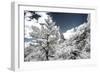 China 10MKm2 Collection - Another Look - Great Wall of China-Philippe Hugonnard-Framed Photographic Print