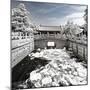 China 10MKm2 Collection - Another Look - Lotus Bridge-Philippe Hugonnard-Mounted Photographic Print