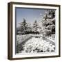 China 10MKm2 Collection - Another Look - Lotus Bridge-Philippe Hugonnard-Framed Photographic Print