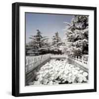 China 10MKm2 Collection - Another Look - Lotus Bridge-Philippe Hugonnard-Framed Photographic Print