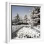 China 10MKm2 Collection - Another Look - Lotus Bridge-Philippe Hugonnard-Framed Photographic Print