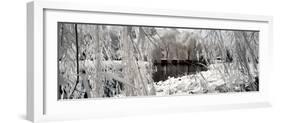 China 10MKm2 Collection - Another Look - Lotus Lake-Philippe Hugonnard-Framed Photographic Print