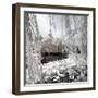 China 10MKm2 Collection - Another Look - Lotus Lake-Philippe Hugonnard-Framed Photographic Print