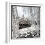 China 10MKm2 Collection - Another Look - Lotus Lake-Philippe Hugonnard-Framed Photographic Print