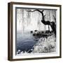 China 10MKm2 Collection - Another Look - Lotus Lake-Philippe Hugonnard-Framed Photographic Print