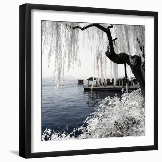 China 10MKm2 Collection - Another Look - Lotus Lake-Philippe Hugonnard-Framed Photographic Print