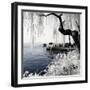 China 10MKm2 Collection - Another Look - Lotus Lake-Philippe Hugonnard-Framed Photographic Print