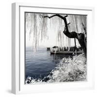 China 10MKm2 Collection - Another Look - Lotus Lake-Philippe Hugonnard-Framed Photographic Print