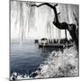 China 10MKm2 Collection - Another Look - Lotus Lake-Philippe Hugonnard-Mounted Photographic Print