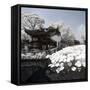 China 10MKm2 Collection - Another Look - Lotus Lake-Philippe Hugonnard-Framed Stretched Canvas