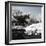 China 10MKm2 Collection - Another Look - Lotus Lake-Philippe Hugonnard-Framed Photographic Print