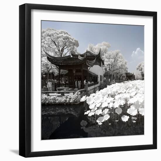 China 10MKm2 Collection - Another Look - Lotus Lake-Philippe Hugonnard-Framed Photographic Print