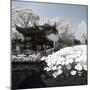 China 10MKm2 Collection - Another Look - Lotus Lake-Philippe Hugonnard-Mounted Photographic Print